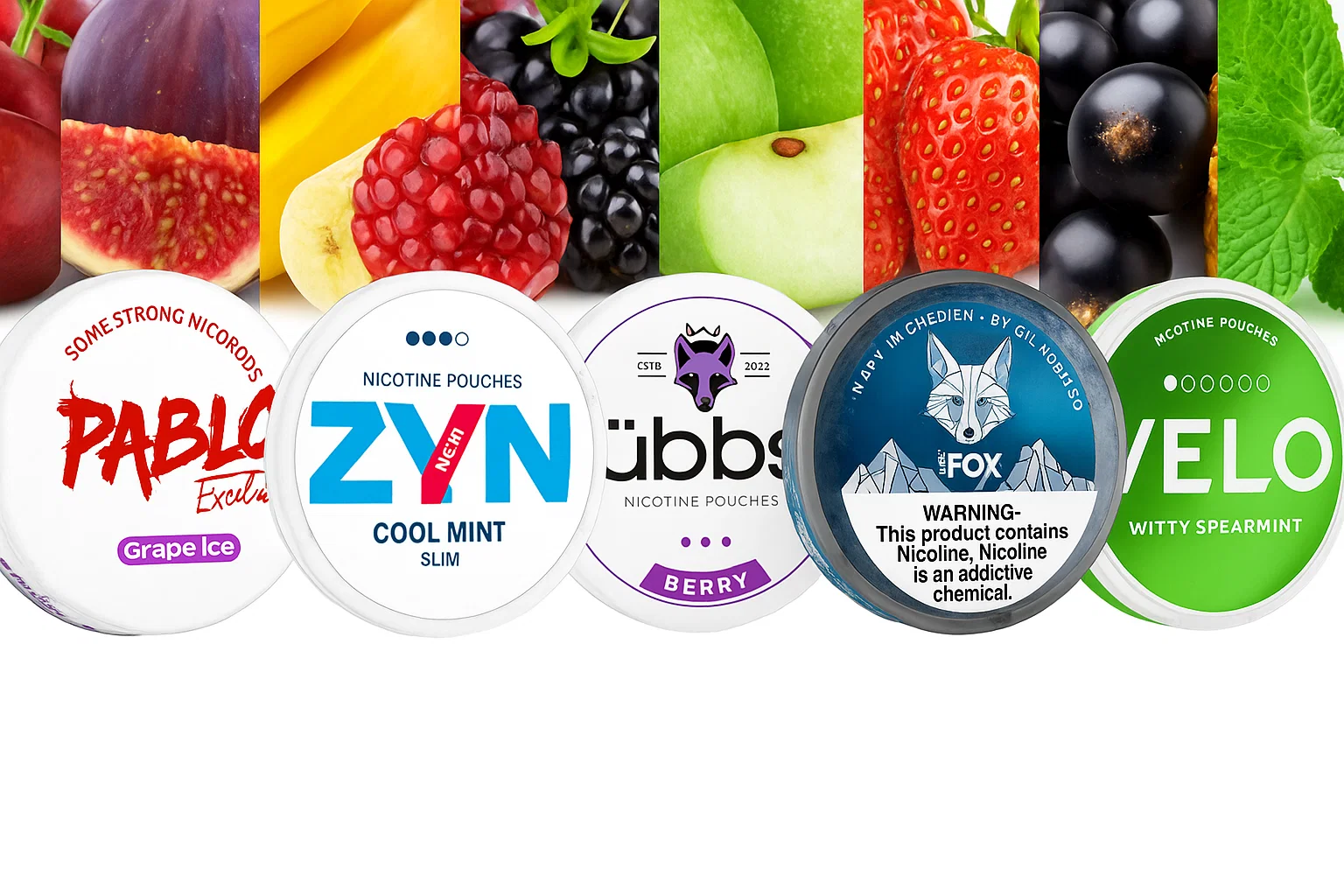Top 5 Nicotine Pouch Brands Ranked (2025 Edition)